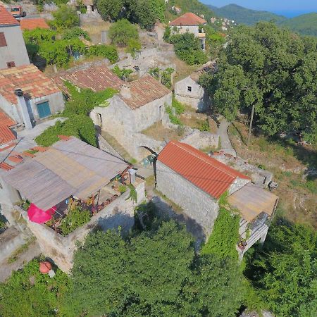 Cottage Melita The Apartment For Animal Lovers Babino Polje Exterior foto