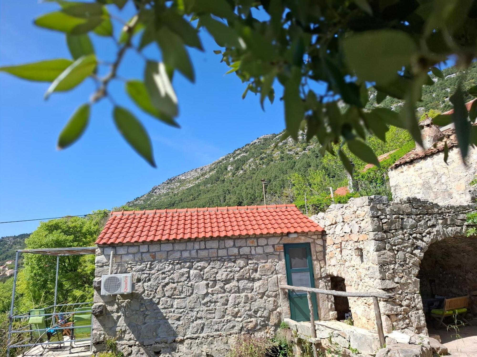 Cottage Melita The Apartment For Animal Lovers Babino Polje Exterior foto