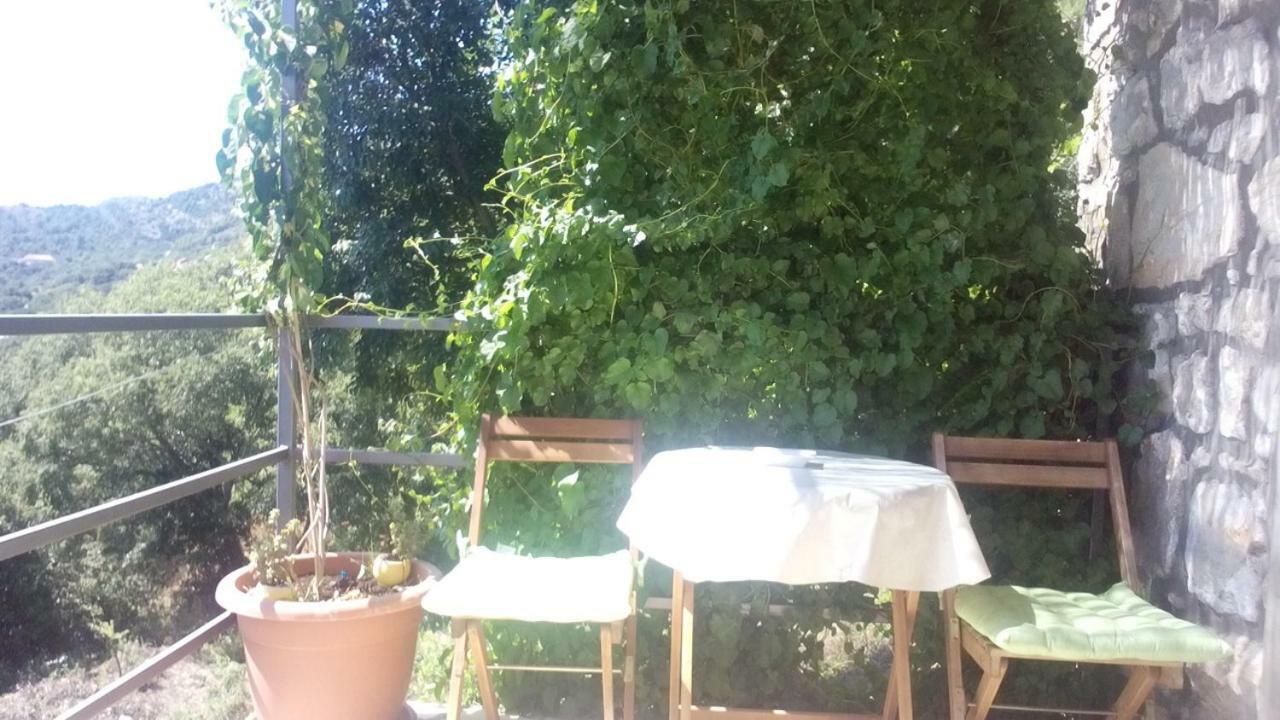 Cottage Melita The Apartment For Animal Lovers Babino Polje Exterior foto