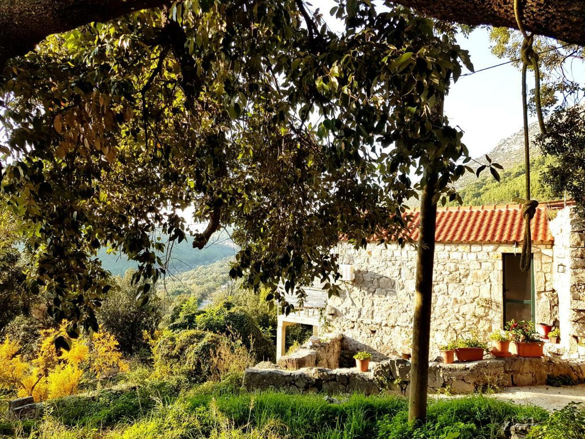 Cottage Melita The Apartment For Animal Lovers Babino Polje Exterior foto