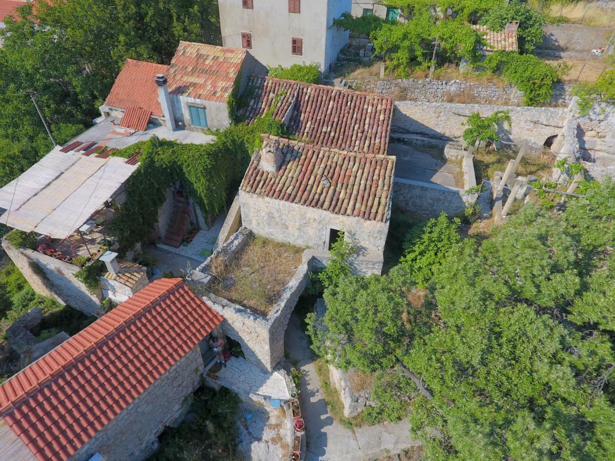 Cottage Melita The Apartment For Animal Lovers Babino Polje Exterior foto